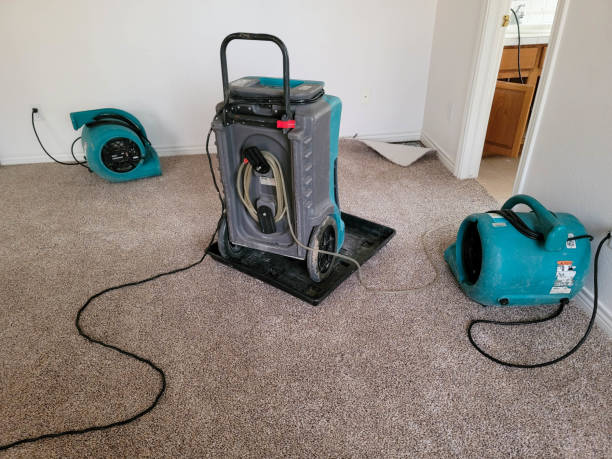  Reese, MI Water damage restoration Pros