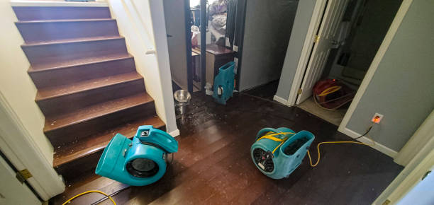 Best Flood damage cleanup  in Reese, MI