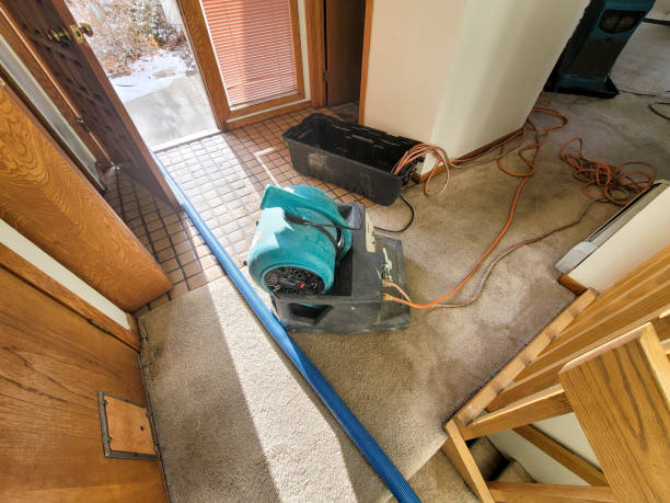 Best Flood restoration services  in Reese, MI
