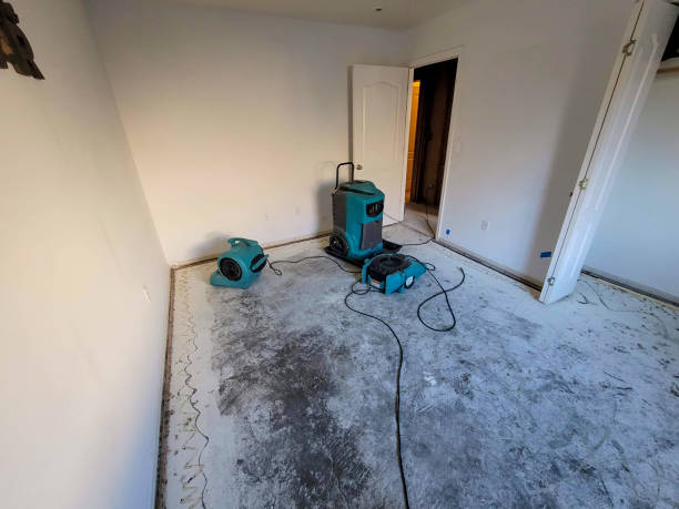 Trusted Reese, MI Water damage restoration Experts