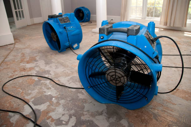 Best Emergency water damage restoration  in Reese, MI