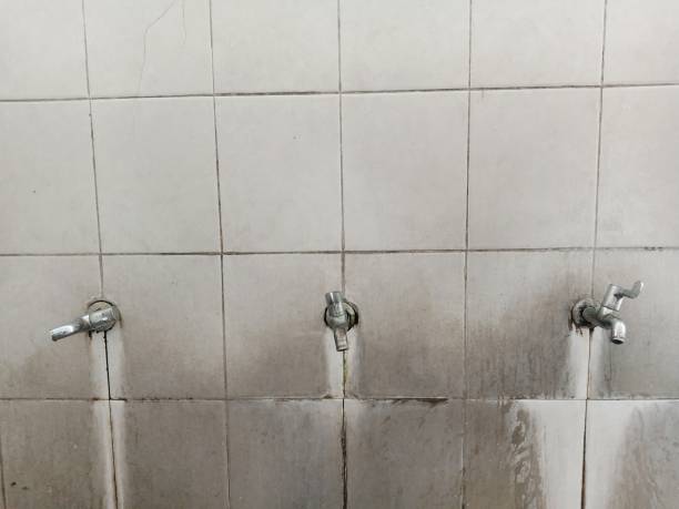 Best 24-hour water damage restoration  in Reese, MI