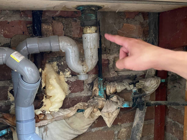 Best Commercial water damage restoration  in Reese, MI