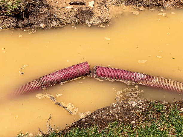 Best Water damage cleanup near me  in Reese, MI